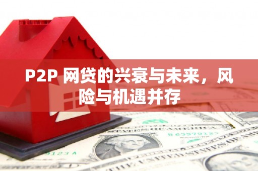 市中区P2P 网贷的兴衰与未来，风险与机遇并存