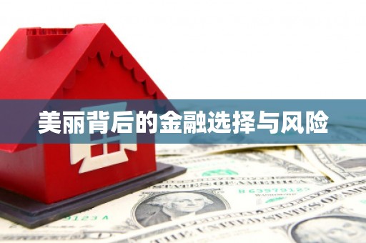上蔡美丽背后的金融选择与风险