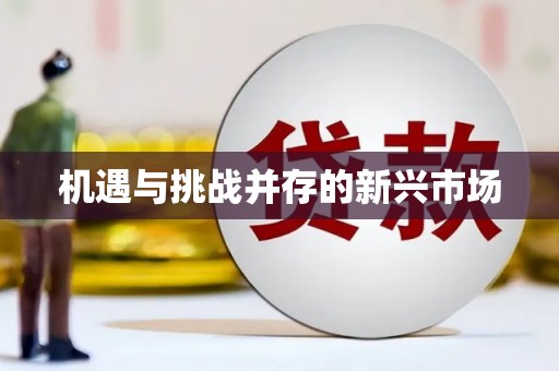 雨花机遇与挑战并存的新兴市场