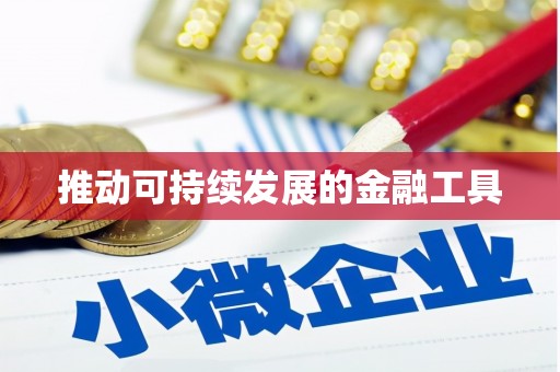 雨花推动可持续发展的金融工具