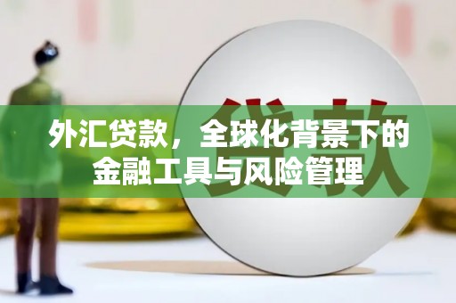 行唐外汇贷款，全球化背景下的金融工具与风险管理
